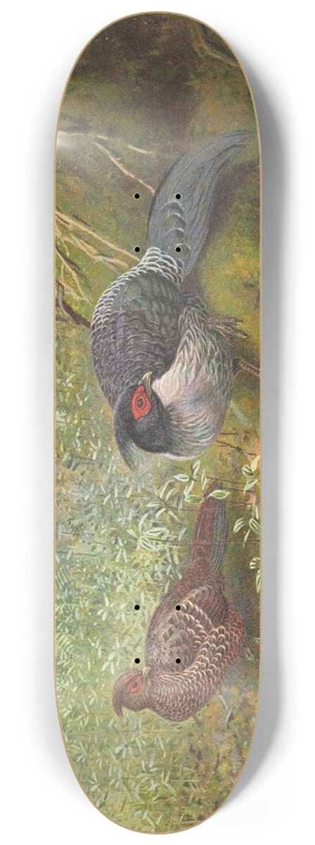 George Edward Lodge - Nepal Kaleege 8.25 inch art skate deck