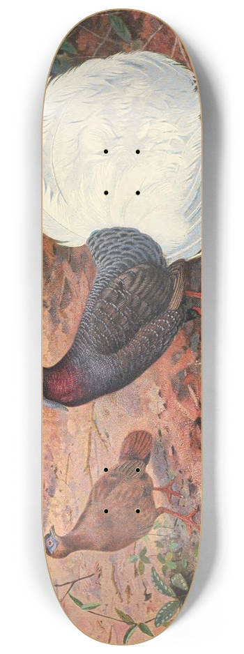George Edward Lodge - White-Tailed Wattled Pheasant 8.25 inch art skate deck