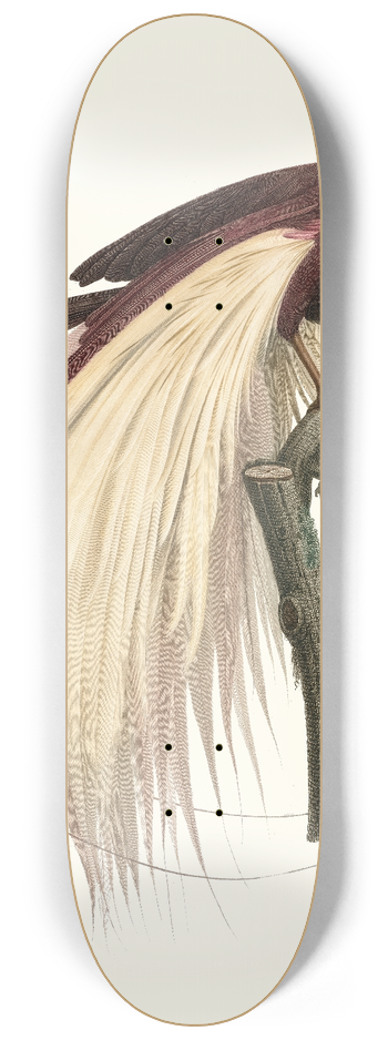 Jacques Barraband - Le grand Oiseau de Paradis, mraude, mle 8.25 inch art skate deck