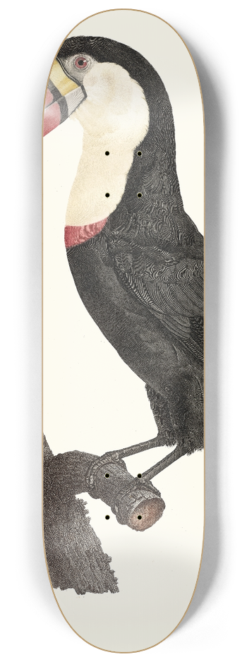 Jacques Barraband - Le Tocan. 8.25 inch art skate deck