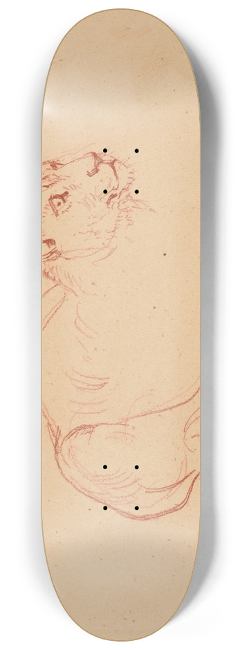 Jacques-Raymond Brascassat - tude de lionne 8.25 inch art skate deck