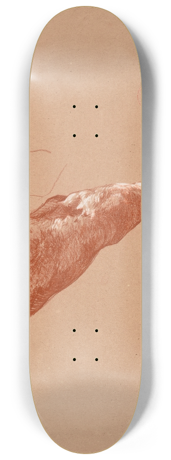 Jacques-Raymond Brascassat - tude de patte de bovid 8.25 inch art skate deck