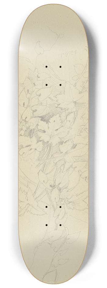 Jakob Becker - Grape vine 8.25 inch art skate deck