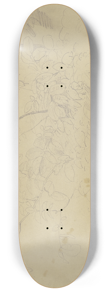 Jakob Becker - Shrubbery 8.25 inch art skate deck