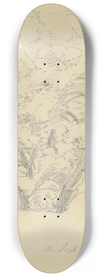 Jakob Becker - Tree 8.25 inch art skate deck