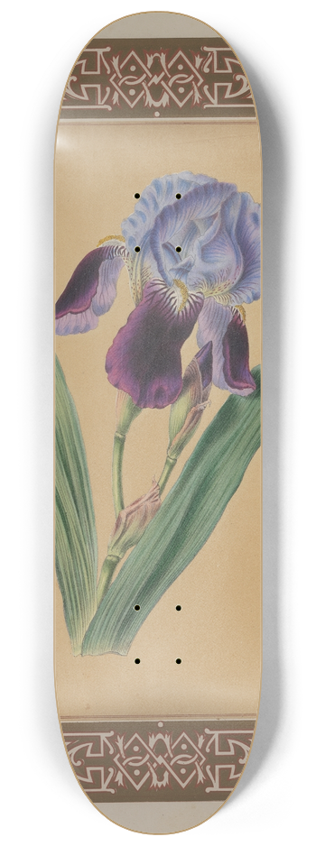 James Andrews - The Iris 8.25 inch art skate deck