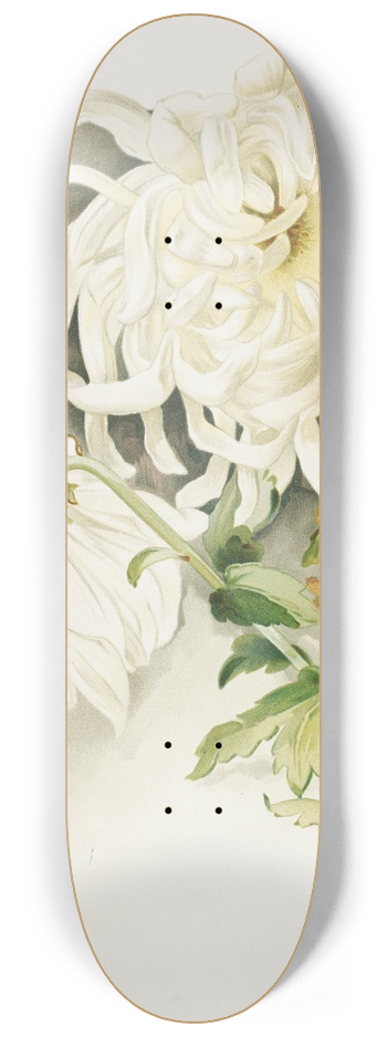 James Callowhill - Moonlight 8.25 inch art skate deck