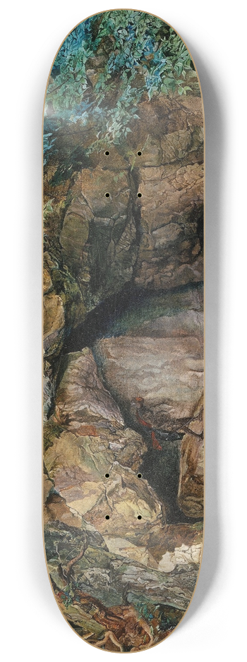 James Campbell - The Dragons Den 8.25 inch art skate deck