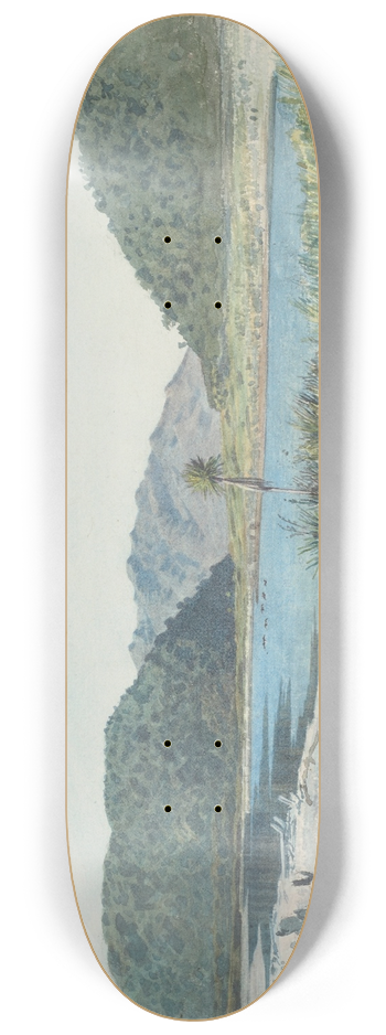 James Crowe Richmond - Lagoon, Grey River 8.25 inch art skate deck