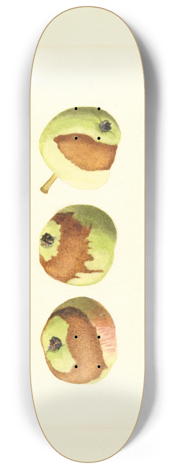 James Marion Shull - Malus domestica 8.25 inch art skate deck