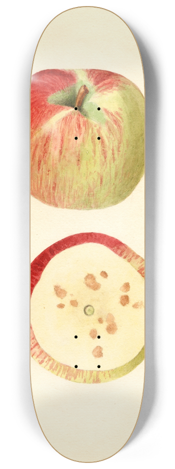James Marion Shull - Malus domestica: Ben Davis 8.25 inch art skate deck