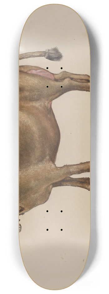 James McLellan - Toy Cow on Stand 8.25 inch art skate deck