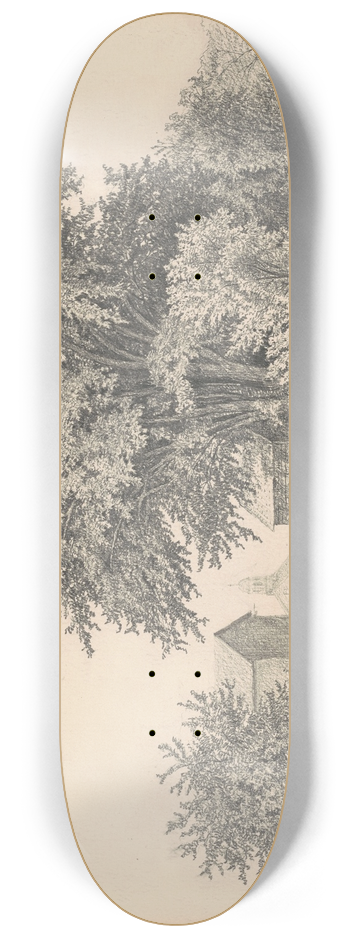 James Renwick Brevoort - Castleton, Vermont 8.25 inch art skate deck