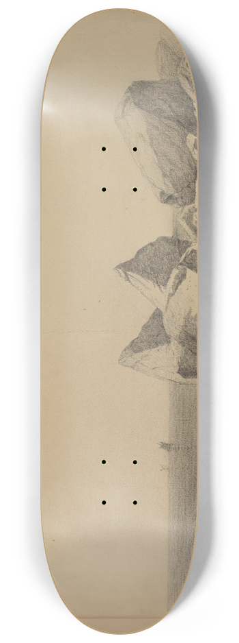 James Renwick Brevoort - Gloucester, Massachusetts 8.25 inch art skate deck