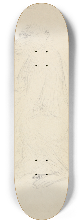 James Sowerby - A Baboon 8.25 inch art skate deck