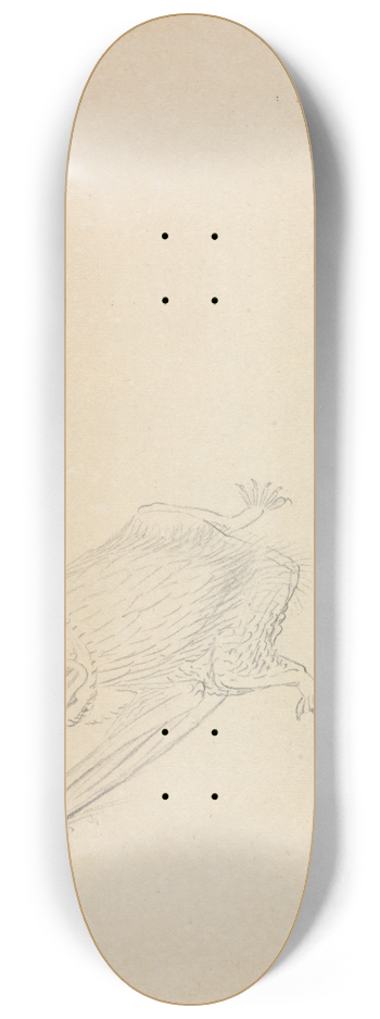 James Sowerby - A Barbastelle Bat 8.25 inch art skate deck