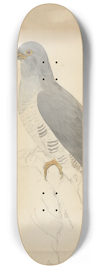 James Sowerby - A Dove 8.25 inch art skate deck