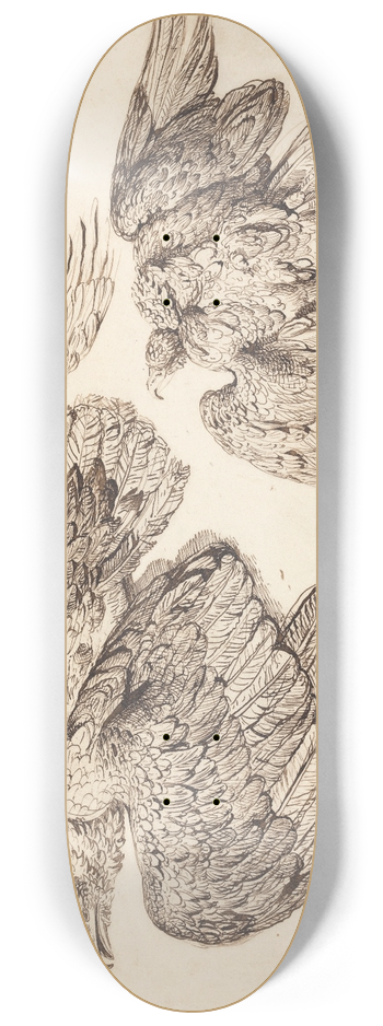 James Ward - Eagles 8.25 inch art skate deck