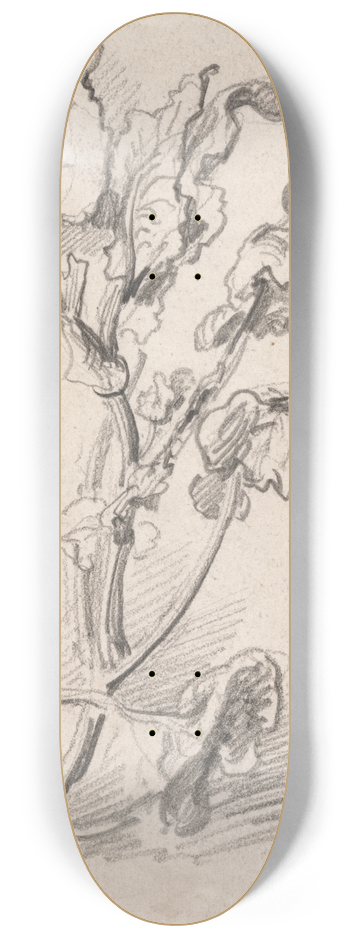 James Ward - Plant Study 8.25 inch art skate deck