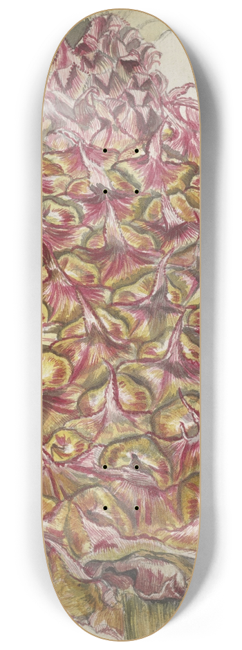 Jan Brandes - Ananas 8.25 inch art skate deck