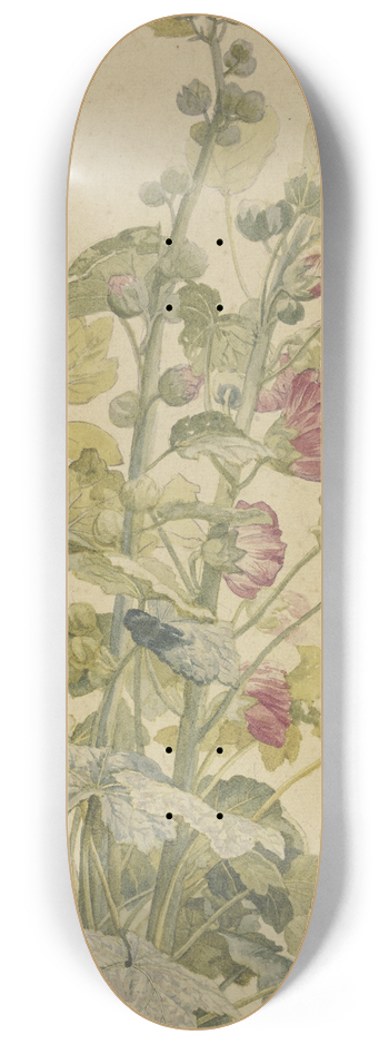 Jan van Huysum - Rosella 8.25 inch art skate deck
