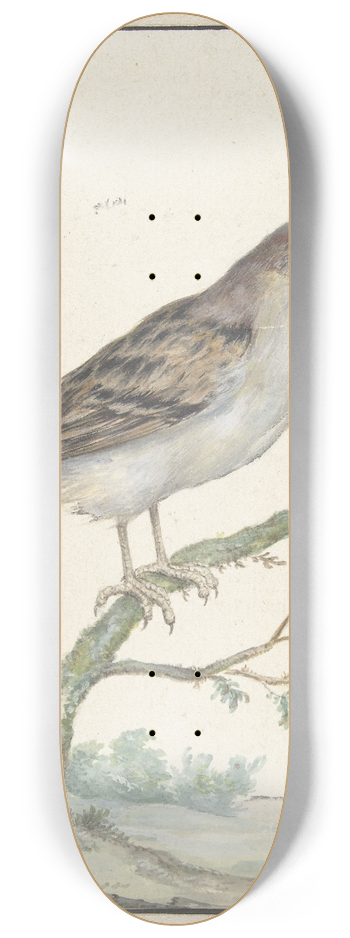 Jan Weenix - Huismus 8.25 inch art skate deck