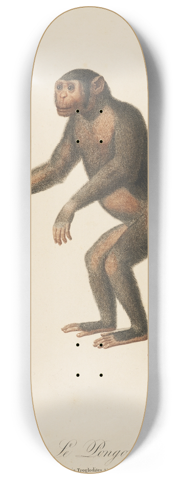 Jean-Baptiste Audebert - Le Pongo 8.25 inch art skate deck