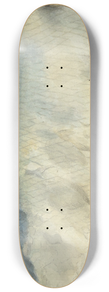 Jean Bernard - Vis, deels vergaan 8.25 inch art skate deck