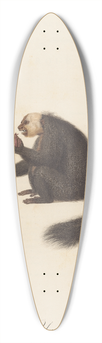 Jean-Baptiste Audebert - LYarqu 39.3 inch art pintail longboard deck