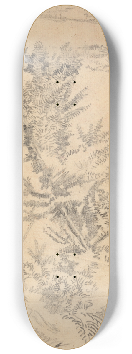 George Richmond - Study of Trees, etc., in a Meadow 8.25 inch art skate deck