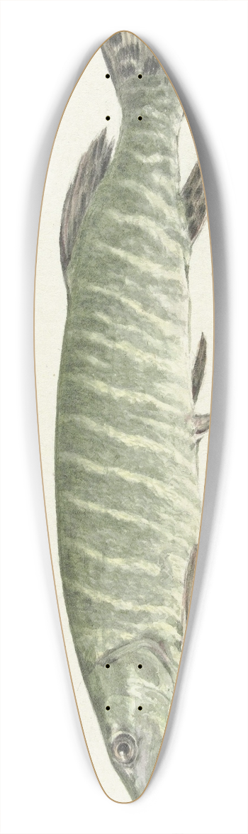 Jean Bernard - Snoek 39.3 inch art pintail longboard deck