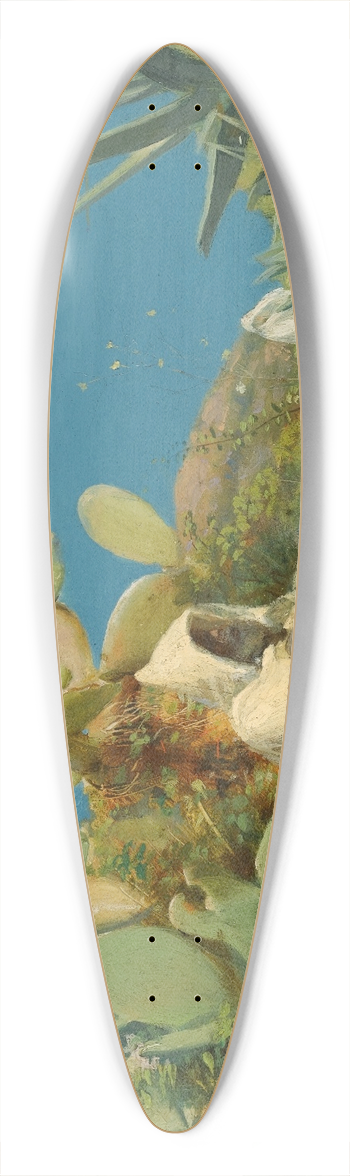 Jean Discart - Tangiers 39.3 inch art pintail longboard deck