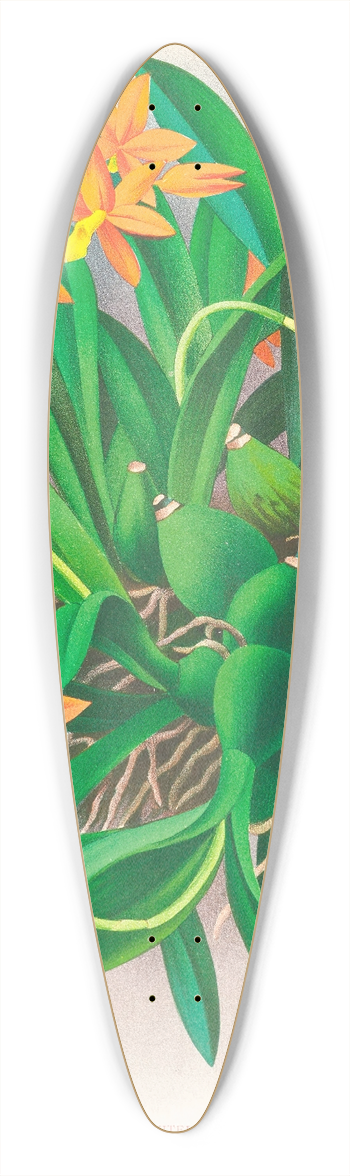 Jean Jules Linden - Epidendrum vitellinum 39.3 inch art pintail longboard deck