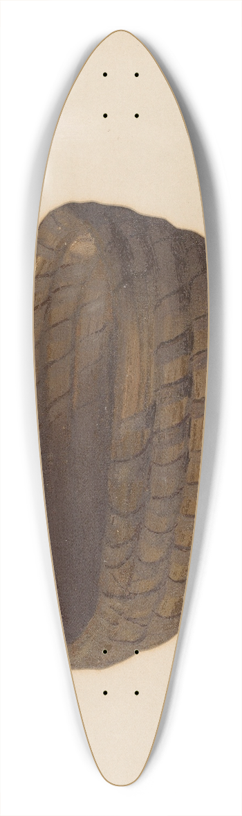 J. Howard Iams - Bread Basket 39.3 inch art pintail longboard deck