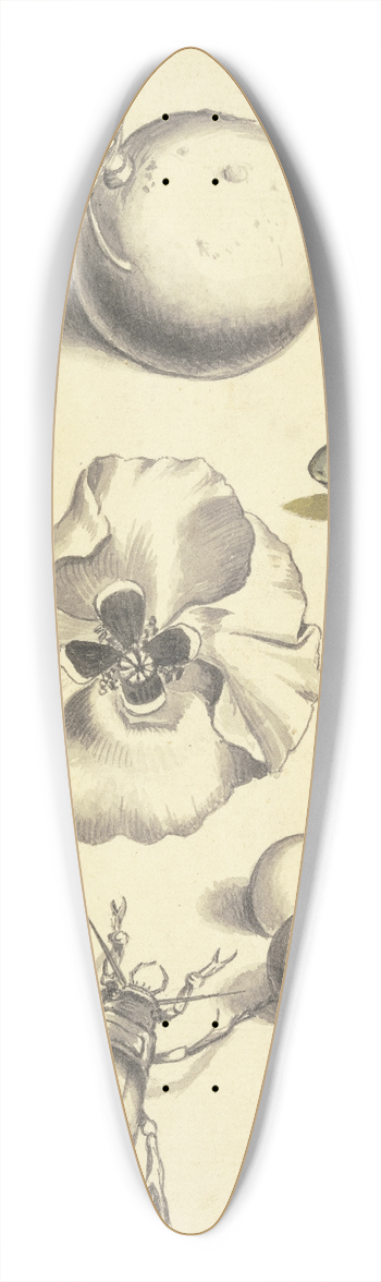 Johann Daniel Bager - Studienblatt mit einer Mohnblume, Pflaumen, Kirschen, zwei Kfern, einer Fliege, einer Biene und einem Frosch 39.3 inch art pintail longboard deck