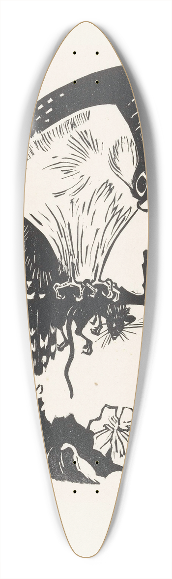 Johannes Frederik Engelbert ten Klooster - Roofvogel 39.3 inch art pintail longboard deck