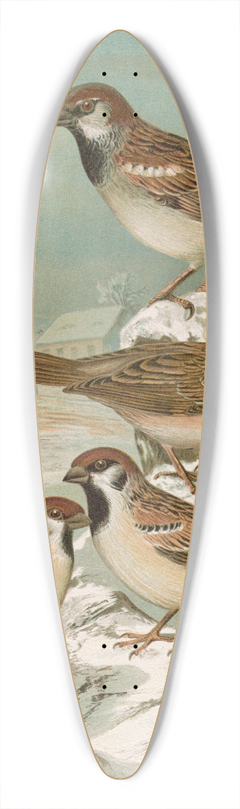 Johann Friedrich Naumann - Passer domesticus, Passer montanus 39.3 inch art pintail longboard deck