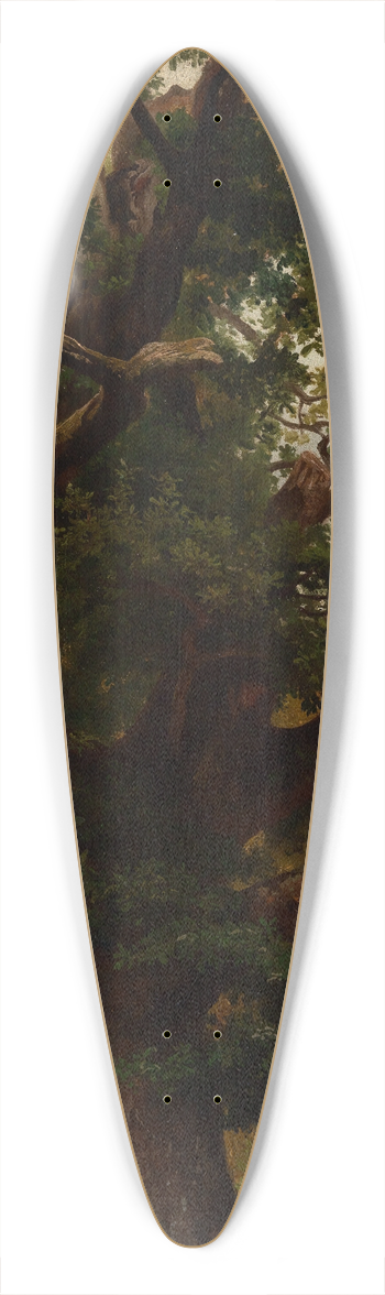Johann Wilhelm Schirmer - Eichbaum 39.3 inch art pintail longboard deck