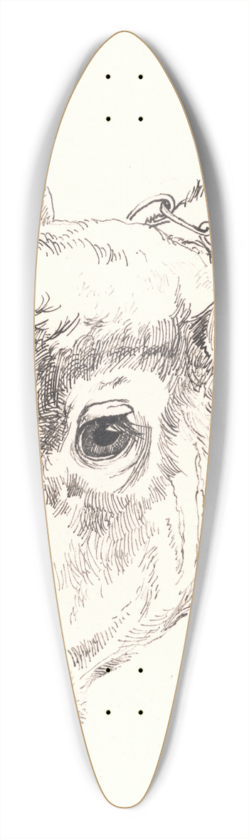 Johan Thomas Lundbye - Et kalvehoved 39.3 inch art pintail longboard deck