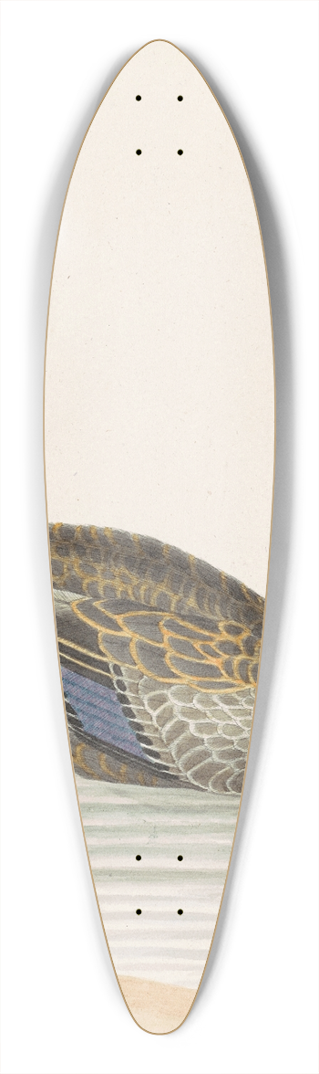 John Abbot - Roan Duck 39.3 inch art pintail longboard deck