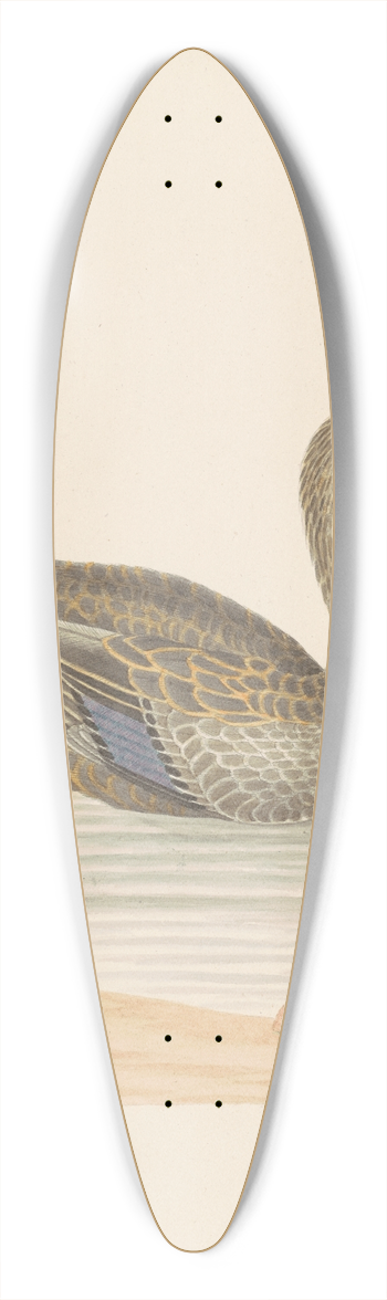 John Abbot - Roan Duck 39.3 inch art pintail longboard deck