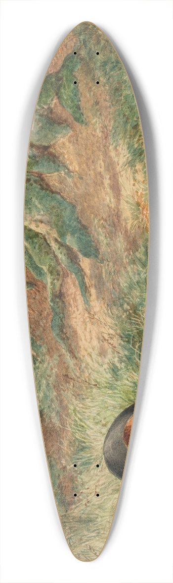 John Adam Houston - What has happened 39.3 inch art pintail longboard deck