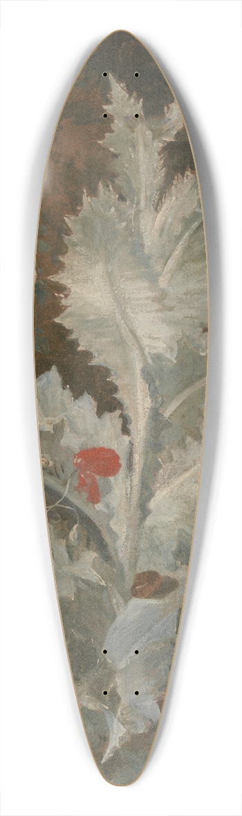 John Crome - A Thistle 39.3 inch art pintail longboard deck