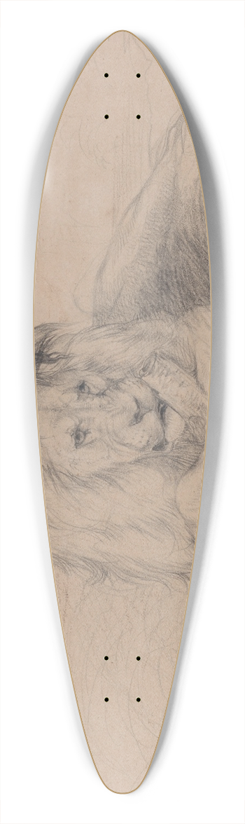 John Frederick Lewis - Study of a Lion and Study of a Lioness Head 39.3 inch art pintail longboard deck