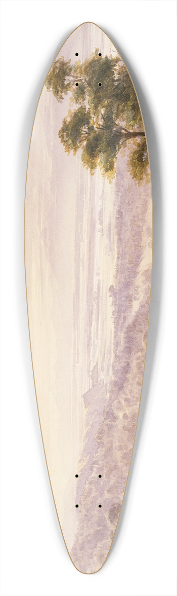 John Gully - Landscape [Waimea Plains, Nelson] 39.3 inch art pintail longboard deck