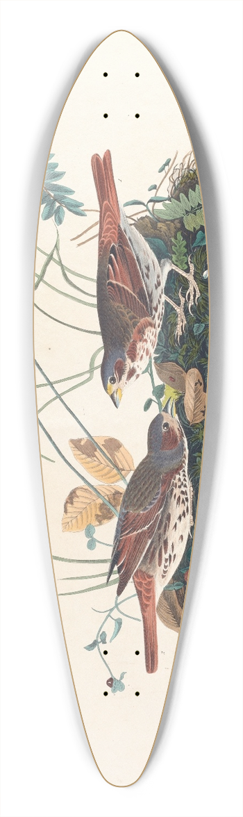 John James Audubon - Fox-coloured sparrow 39.3 inch art pintail longboard deck