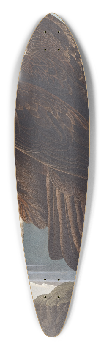 John James Audubon - Golden eagle 39.3 inch art pintail longboard deck