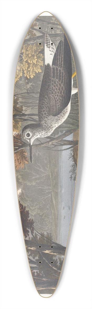 John James Audubon - Yellow shank 39.3 inch art pintail longboard deck
