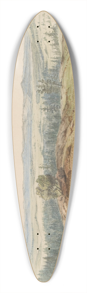 John Mix Stanley - Source of thePeluse 39.3 inch art pintail longboard deck