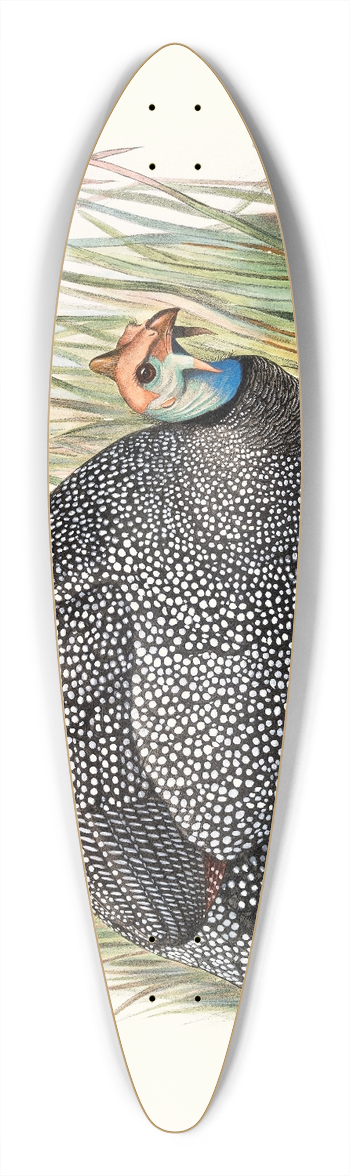 Joseph Smit - Numida mitrata. 39.3 inch art pintail longboard deck